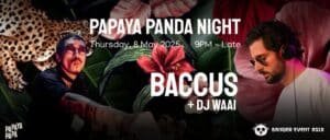 PAPAYA PANDA NIGHT